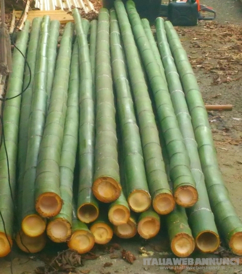 Canne di bambù bambu con diametro da 1 cm. fino a 10 cm.