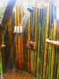 Canne di bambù bambu con diametro da 1 cm. fino a 10 cm.